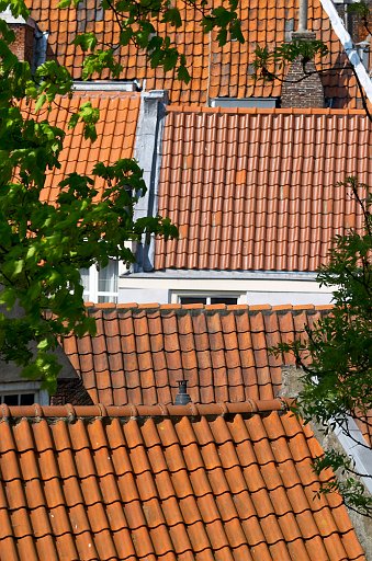 Dutch roofs